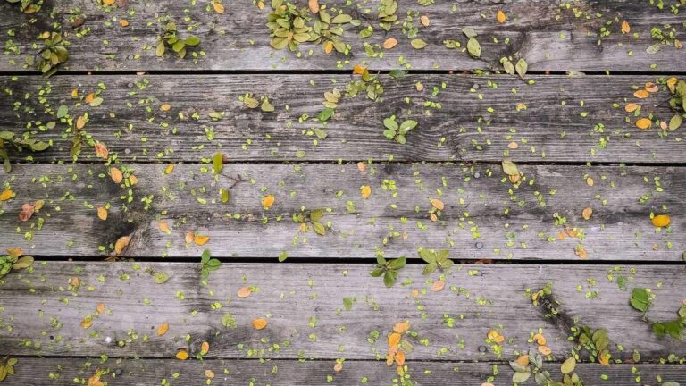 Deep Tech: Robotik und Quantencomputing