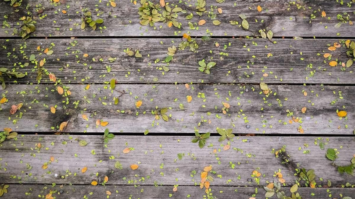 Deep Tech: Robotik und Quantencomputing