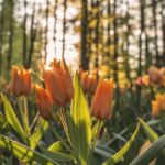 Digital Art fuer Anfaenger: Der Einstieg in die digitale Kunst