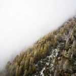 Handlettering lernen: Schritt fuer Schritt Anleitung