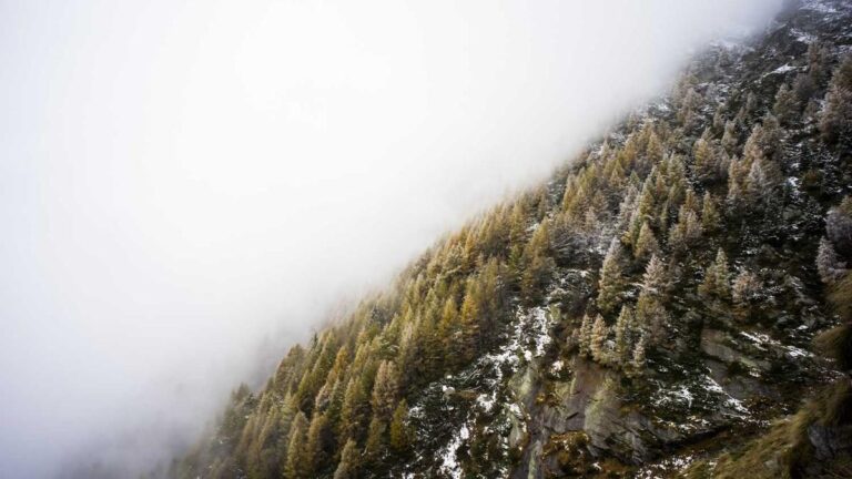 Handlettering lernen: Schritt fuer Schritt Anleitung