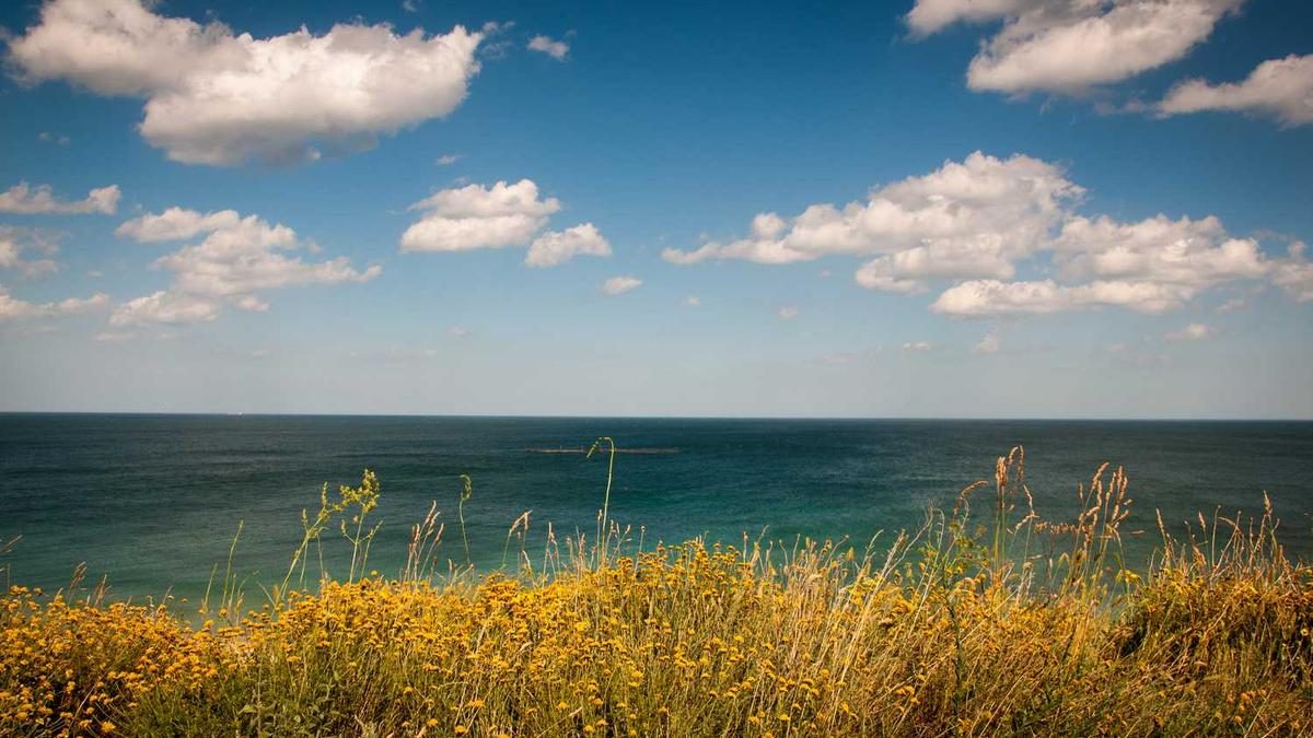 KI-Startups 2025: 32,9 Milliarden Dollar in 5 Monaten