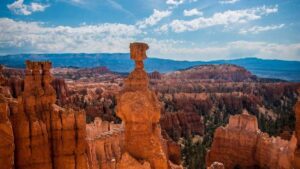 Nischen-KI: Spezialisierte Lösungen statt Generalisten