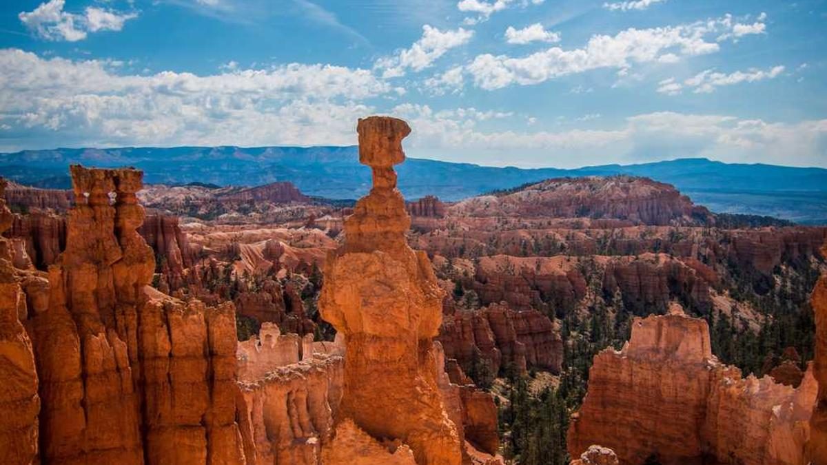 Nischen-KI: Spezialisierte Lösungen statt Generalisten