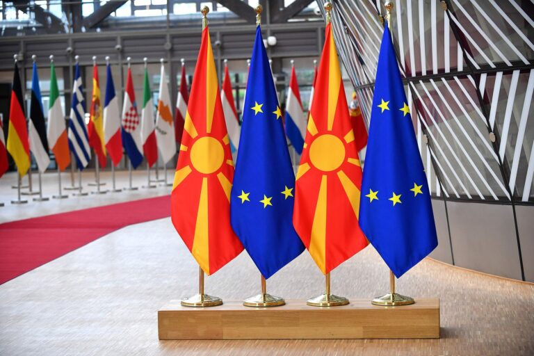 european union flags