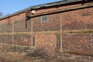 Werkbank in einer Tischlerei mit Handwerkzeug, Spänen und Holzbrettern an der Wand