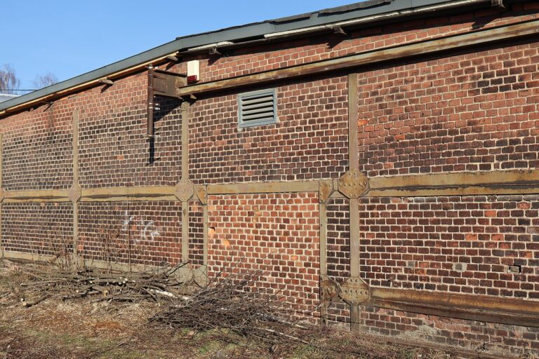 Werkbank in einer Tischlerei mit Handwerkzeug, Spänen und Holzbrettern an der Wand